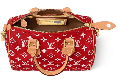 is louis vuitton speedy worth it